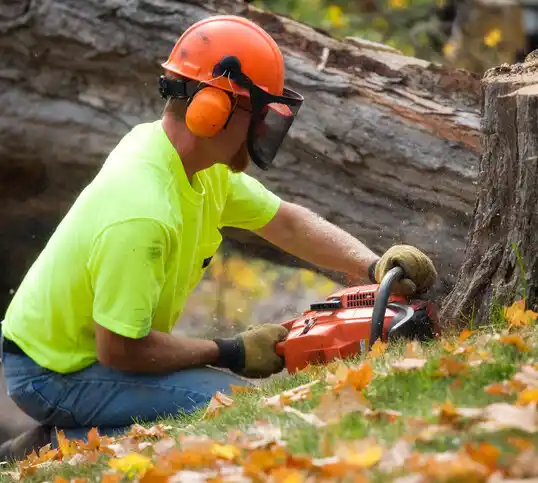 tree services Point Pleasant